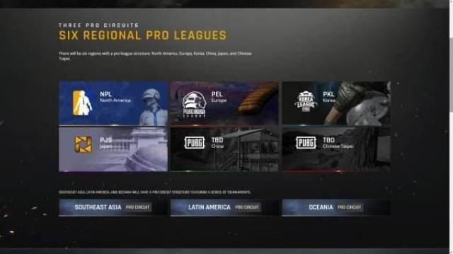 名队内主力 名队内主力